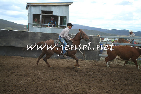 AdaminabyCampdraft2014_1337