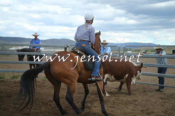 AdaminabyCampdraft2014_1348