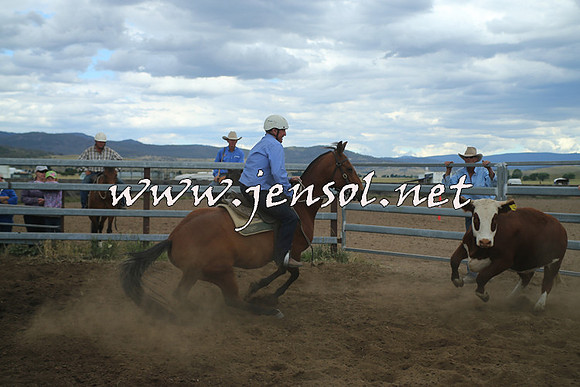 AdaminabyCampdraft2014_1522