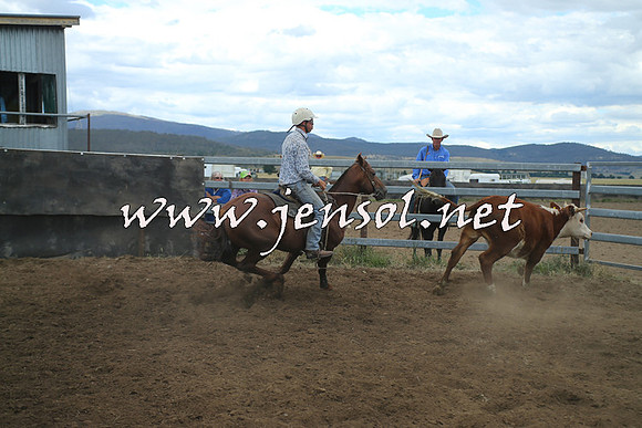 AdaminabyCampdraft2014_1309