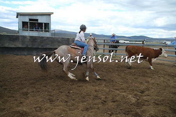 AdaminabyCampdraft2014_1258