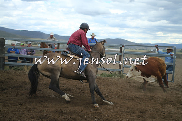 AdaminabyCampdraft2014_1368