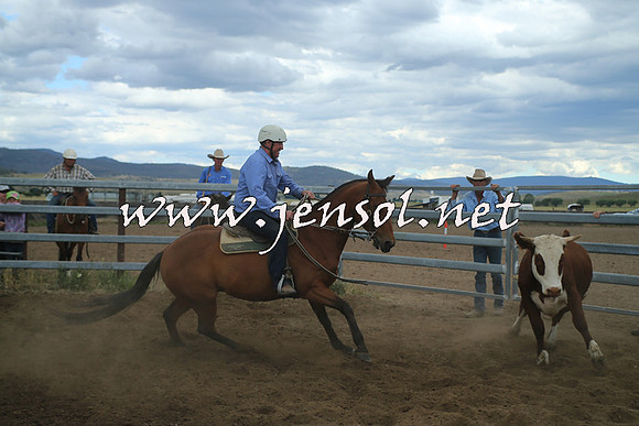 AdaminabyCampdraft2014_1531