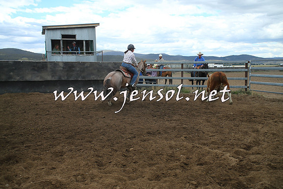 AdaminabyCampdraft2014_1261