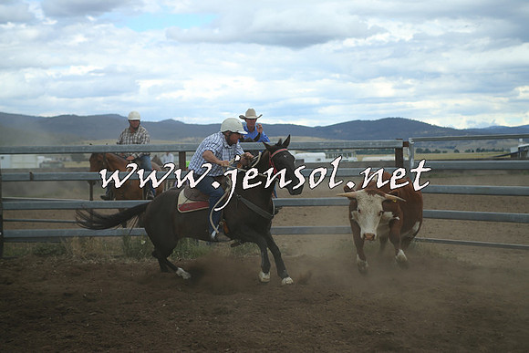 AdaminabyCampdraft2014_1416