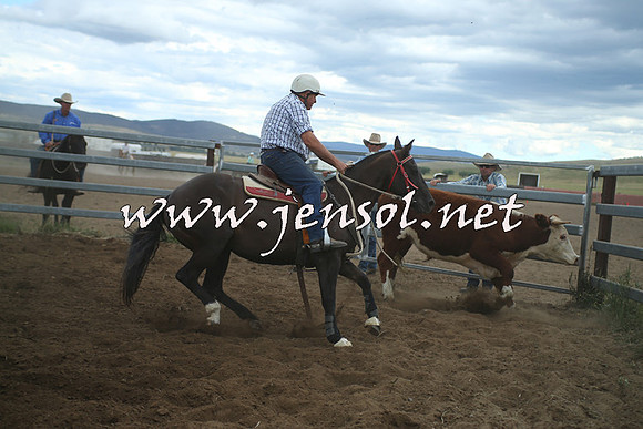 AdaminabyCampdraft2014_1406