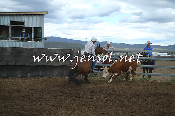 AdaminabyCampdraft2014_1489