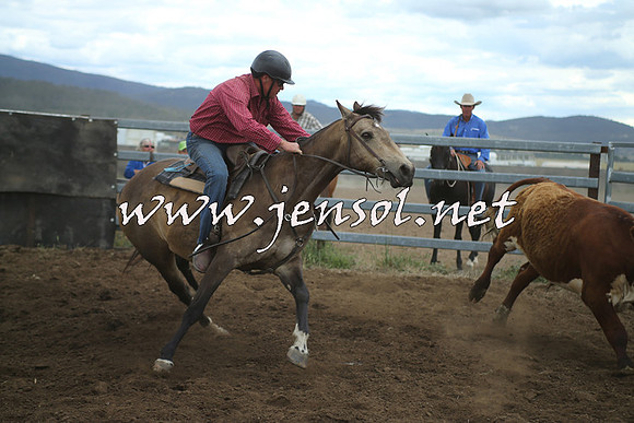 AdaminabyCampdraft2014_1364