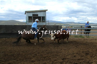AdaminabyCampdraft2014_1220