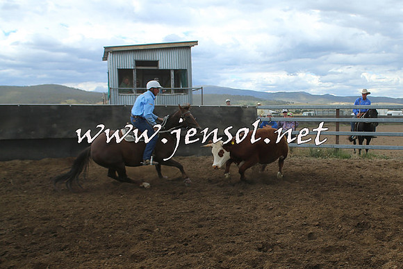 AdaminabyCampdraft2014_1220
