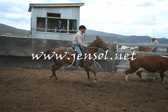 AdaminabyCampdraft2014_1335