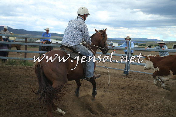 AdaminabyCampdraft2014_1296