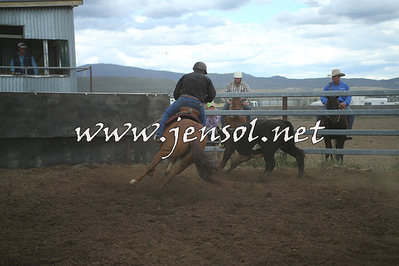 AdaminabyCampdraft2014_1478