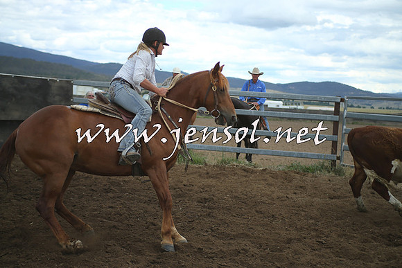 AdaminabyCampdraft2014_1387