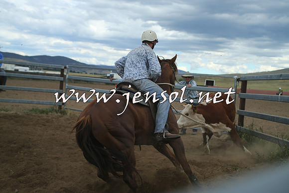 AdaminabyCampdraft2014_1306