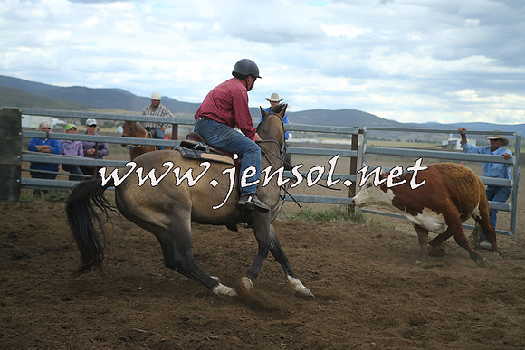 AdaminabyCampdraft2014_1374