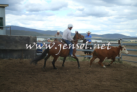 AdaminabyCampdraft2014_1482