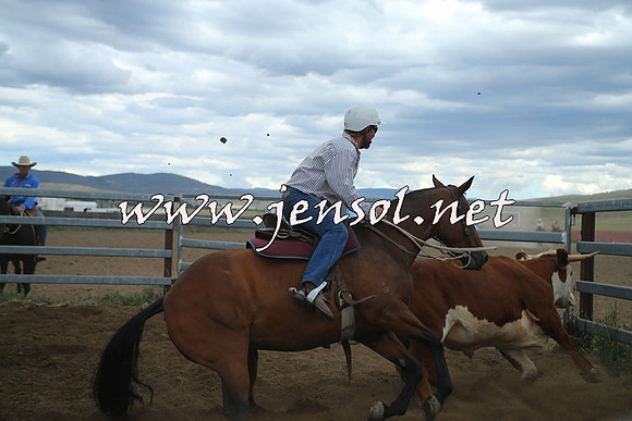 AdaminabyCampdraft2014_1494