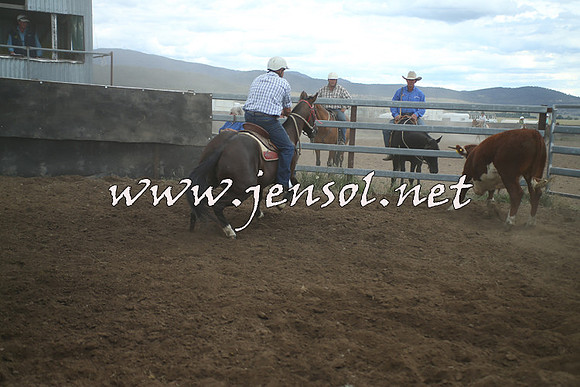 AdaminabyCampdraft2014_1402