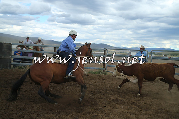 AdaminabyCampdraft2014_1508