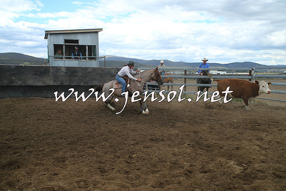 AdaminabyCampdraft2014_1272