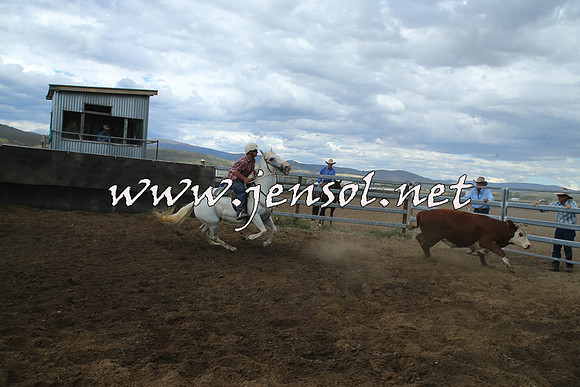 AdaminabyCampdraft2014_1210