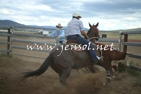 AdaminabyCampdraft2014_1415