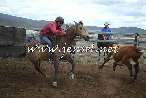 AdaminabyCampdraft2014_1366