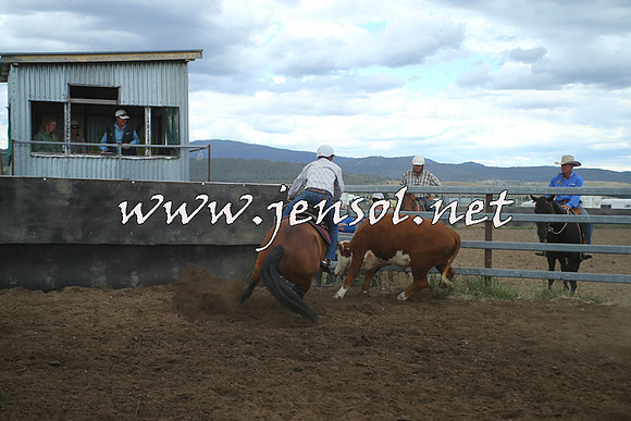 AdaminabyCampdraft2014_1499