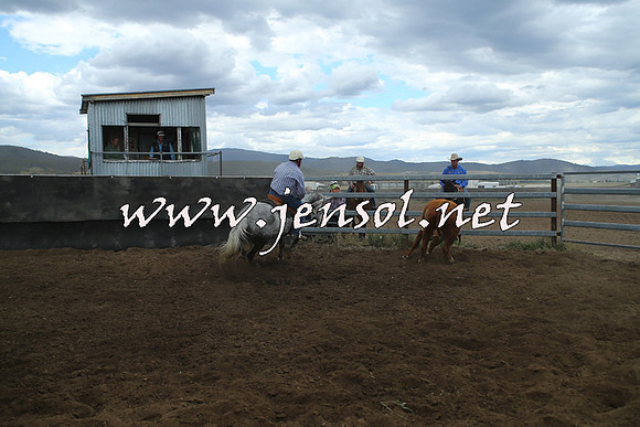 AdaminabyCampdraft2014_1437