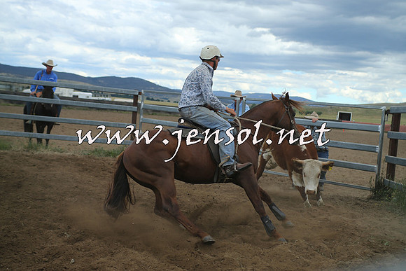 AdaminabyCampdraft2014_1311