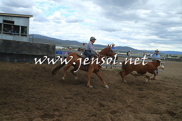 AdaminabyCampdraft2014_1382