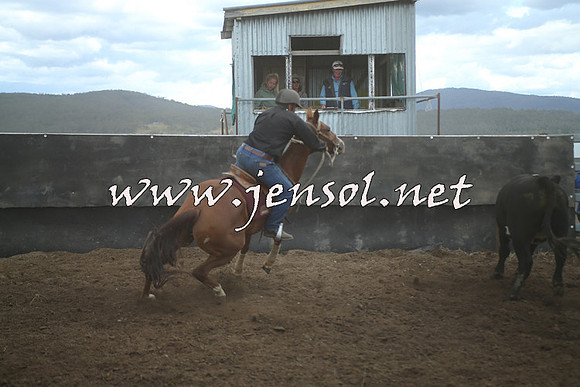 AdaminabyCampdraft2014_1455