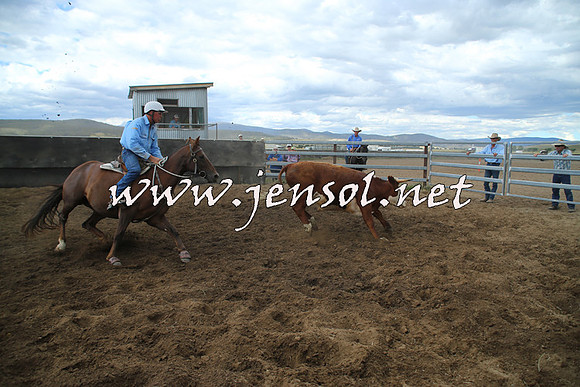 AdaminabyCampdraft2014_1219