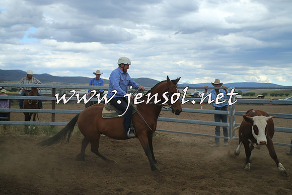 AdaminabyCampdraft2014_1530