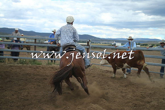 AdaminabyCampdraft2014_1297