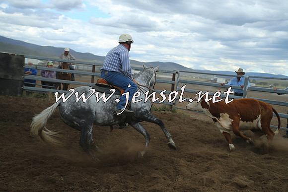 AdaminabyCampdraft2014_1441