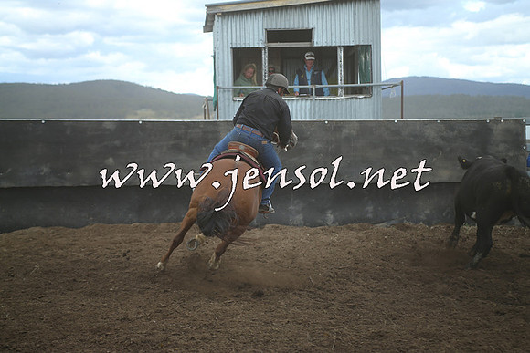 AdaminabyCampdraft2014_1454