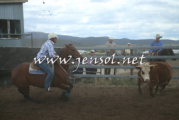 AdaminabyCampdraft2014_1318