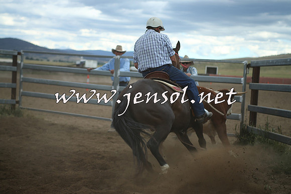 AdaminabyCampdraft2014_1412