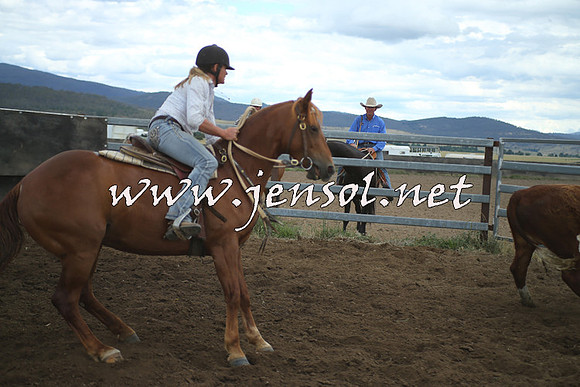 AdaminabyCampdraft2014_1386