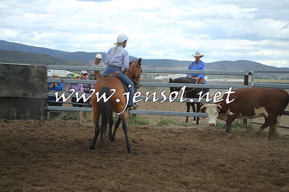 AdaminabyCampdraft2014_1349