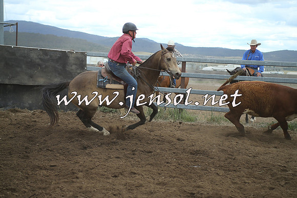 AdaminabyCampdraft2014_1370