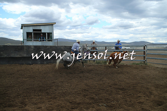 AdaminabyCampdraft2014_1440