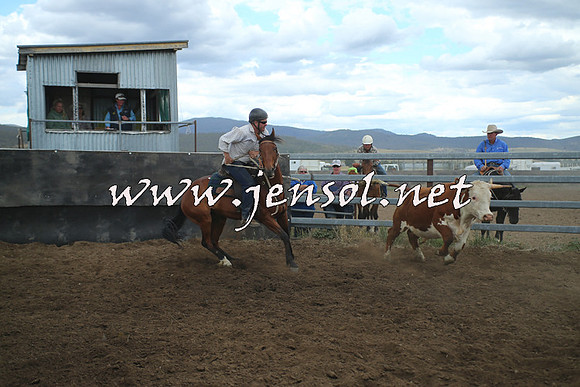 AdaminabyCampdraft2014_1434