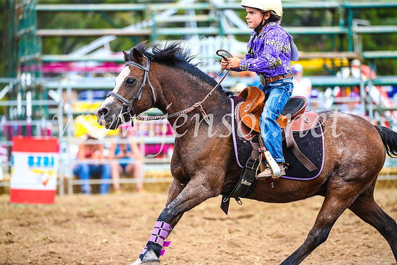 QueanbeyanRodeo2017_1594