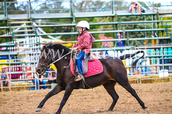 QueanbeyanRodeo2017_1575