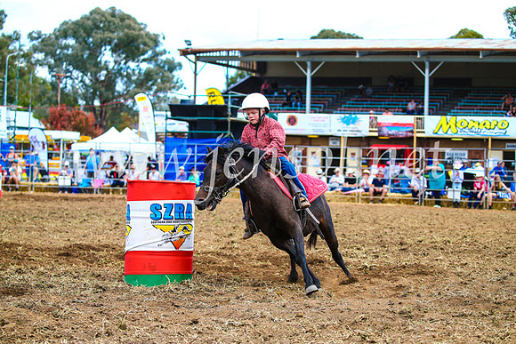 QueanbeyanRodeo2017_1572