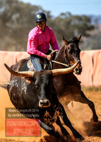 IllaboCampdraft2_5130