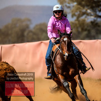 IllaboCampdraft2_5090